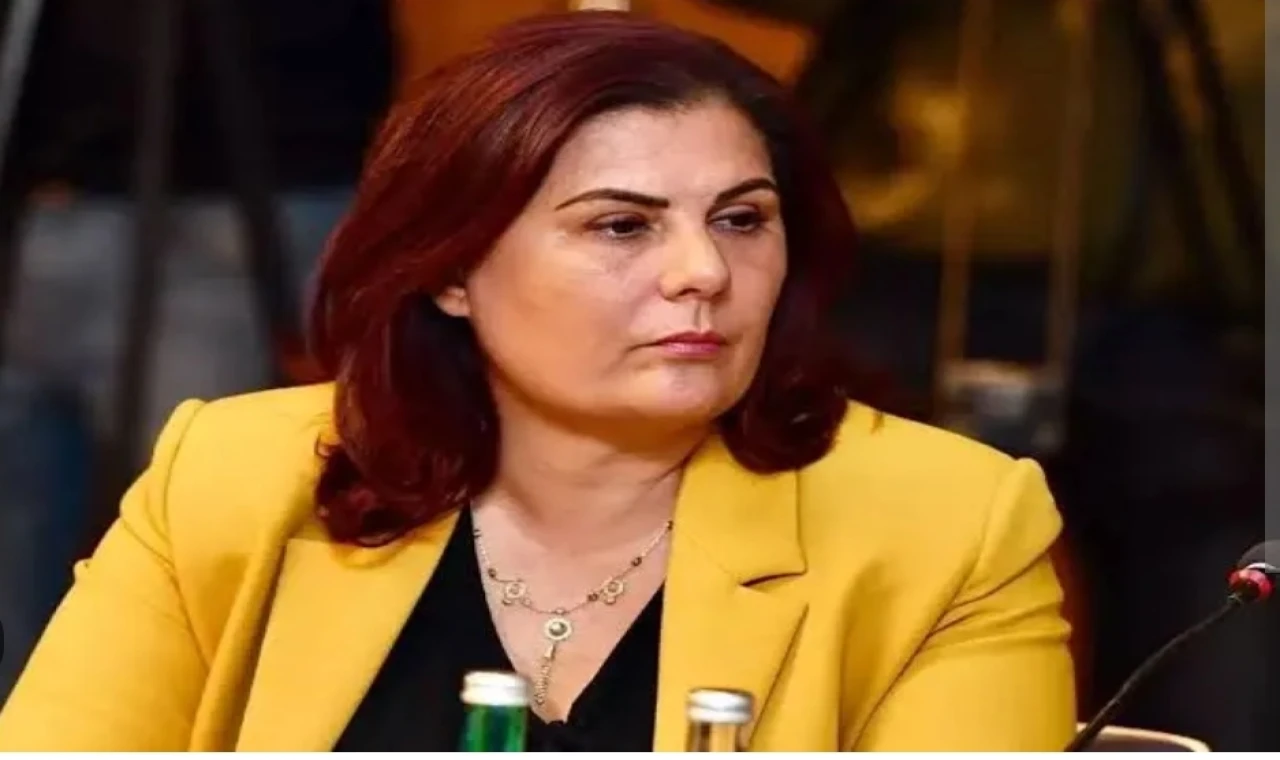 Özlem Çerçioğlu'na soruşturma izni...