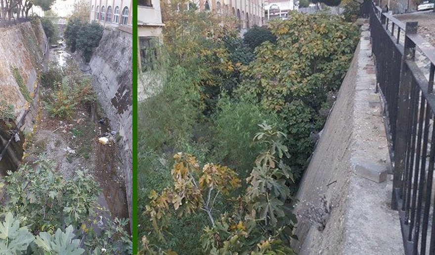 Amazon Nehri değil, Tabakhane Deresi…
