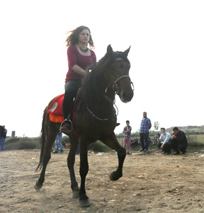 ATLAR KOŞTU, KOCAGÜR COŞTU…