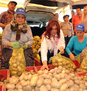 ÇERÇİOĞLU, 100 TON PATATES DAĞITACAK