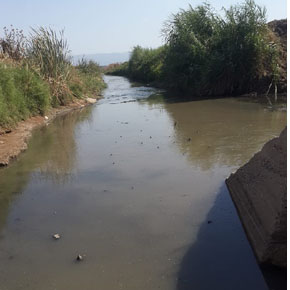 GERÇEĞİ GÖZLER ÖNÜNE SERDİ…