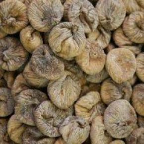 KURU İNCİR İHRACATI BAŞLIYOR