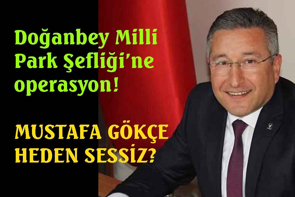 Milli Park Şefliği’ne Operasyon!