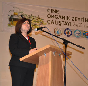 ORGANİK ZEYTİNYAĞI ÇALIŞTAYI YAPILDI