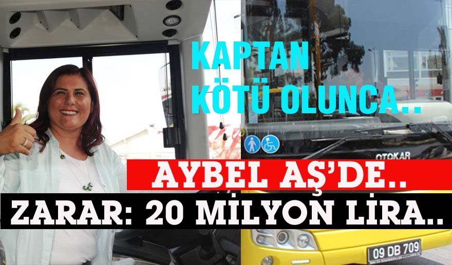 Sarı civcivler kime çalışıyor?