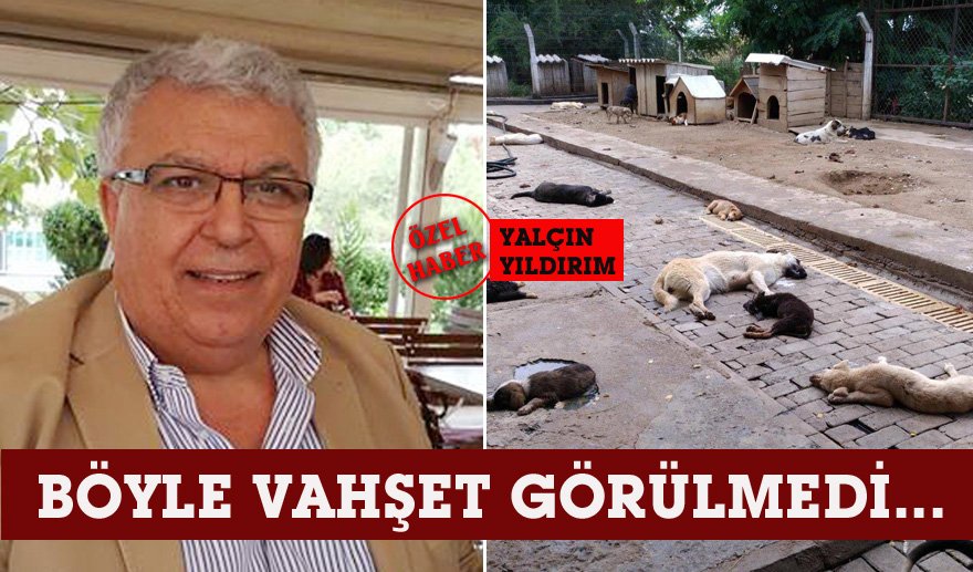 Vicdansızlığın bu kadarına pes…