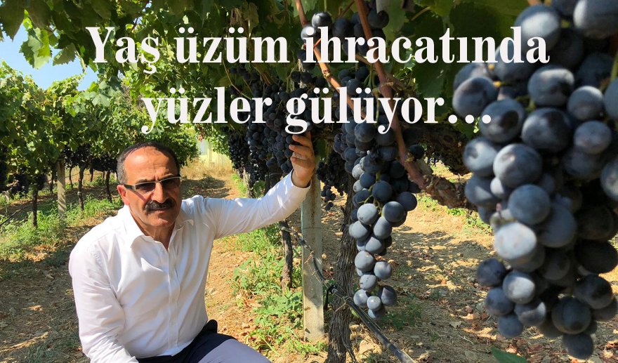 Yaş üzüm ihracatında yüzde 43 artış…