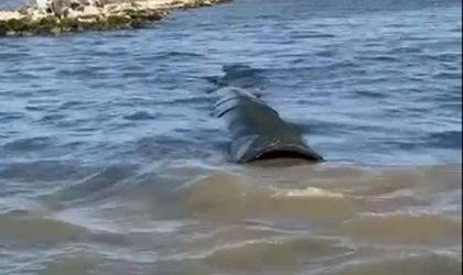 ASKİ Didim denizini kanalizasyon pisliği ile zehirliyor