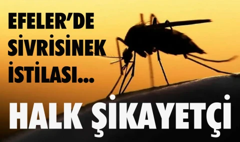 Efeler’i sinekler bastı…