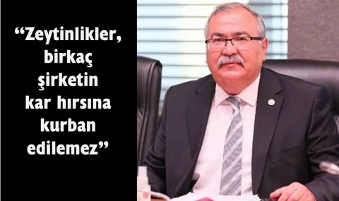 CHP’li Bülbül’den zeytinlik katliamına tepki