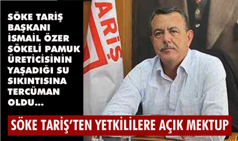 Sökeli pamuk üreticisi ikinci suyunu istiyor
