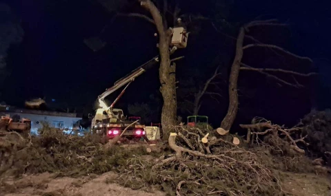 Efeler belediyesi ekipleri her an sahada