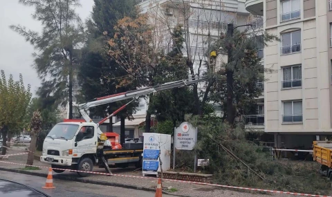 Efeler’de budama alışmaları sürüyor