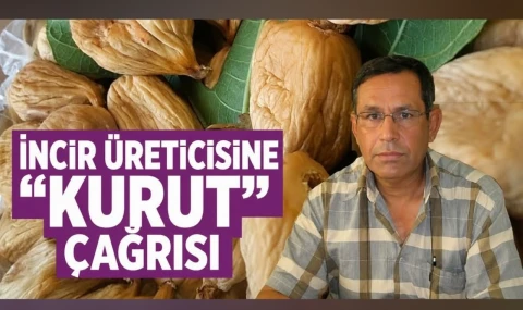 Buharkent'te incir üreticisine kurut çağrısı