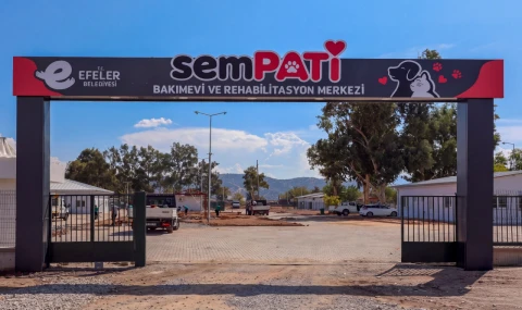 Başkan Yetişkin'in can dostlar projesi açılış için gün sayıyor...