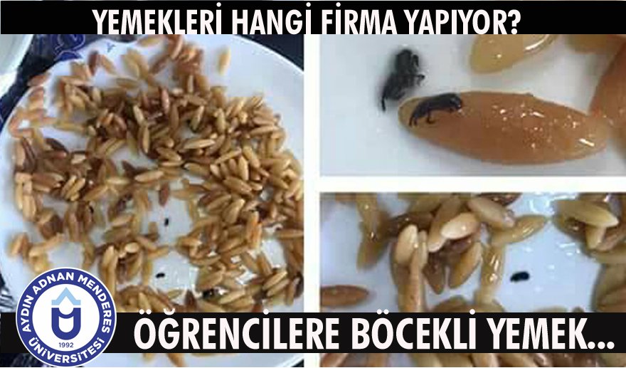 ADÜ’de öğrencilerin yemek isyanı…