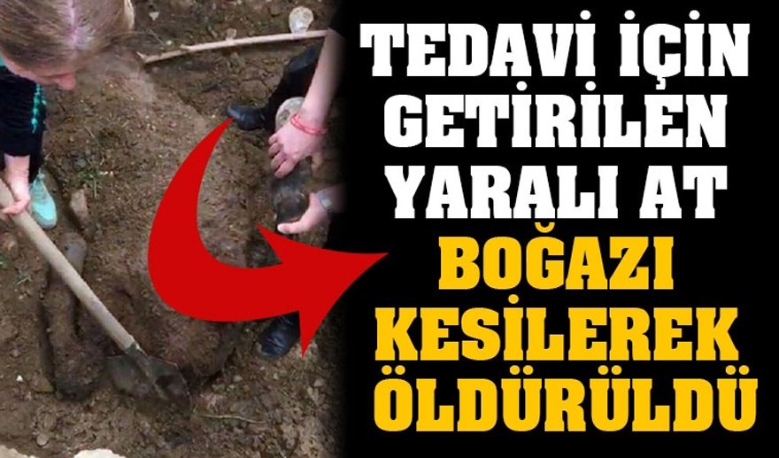 Aydın BŞB’de bu da oldu…