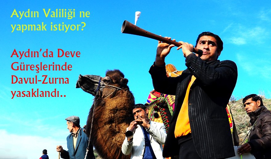 Aydın Valiliği deve güreşlerinde davul-zurnayı yasakladı…