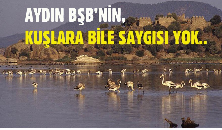 Bafa Gölü Kuş Cenneti sahipsiz bırakıldı…