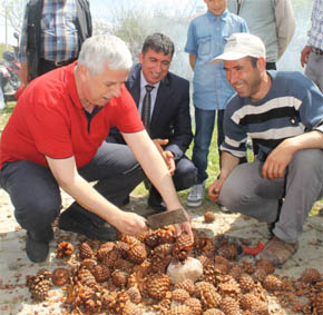 BAL VE KÜNER ŞENLİĞİ BÜYÜK İLGİ GÖRDÜ