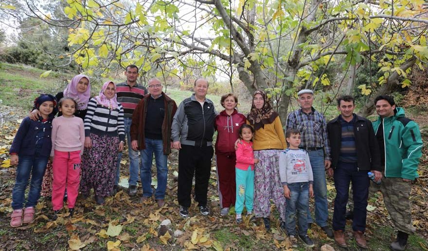 Başkan Özakcan, zeytin hasadına katıldı..
