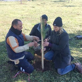 2 BİN 250 ADET FİDAN DİKİLDİ..