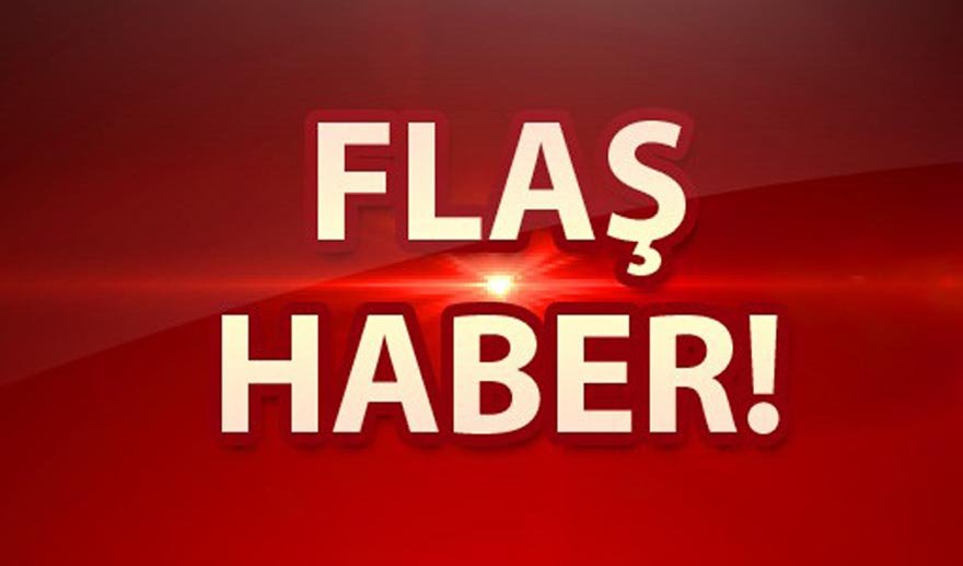 Bozdoğan'da FETÖ gözaltıları...