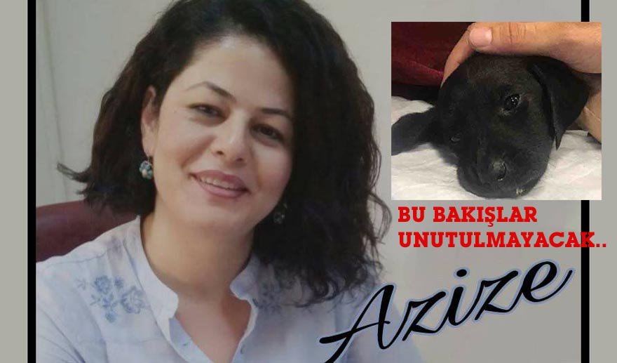 Bu bir vahşet!.. Artık yeter!..