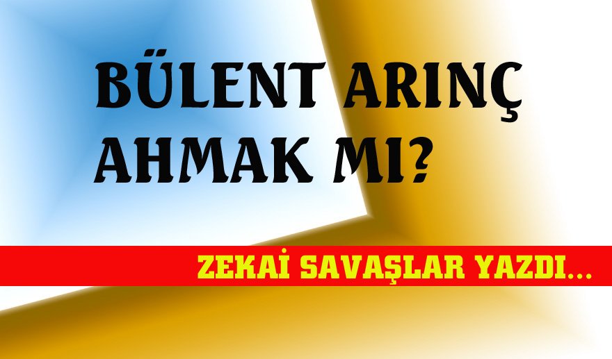 Bülent Arınç ahmak mı?