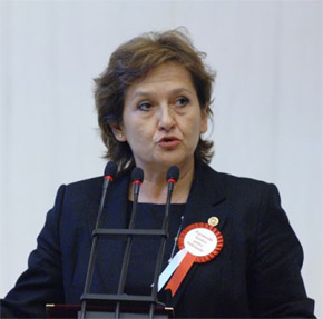 CHP’Lİ GÜLER’DEN TAŞOCAĞI TEPKİSİ