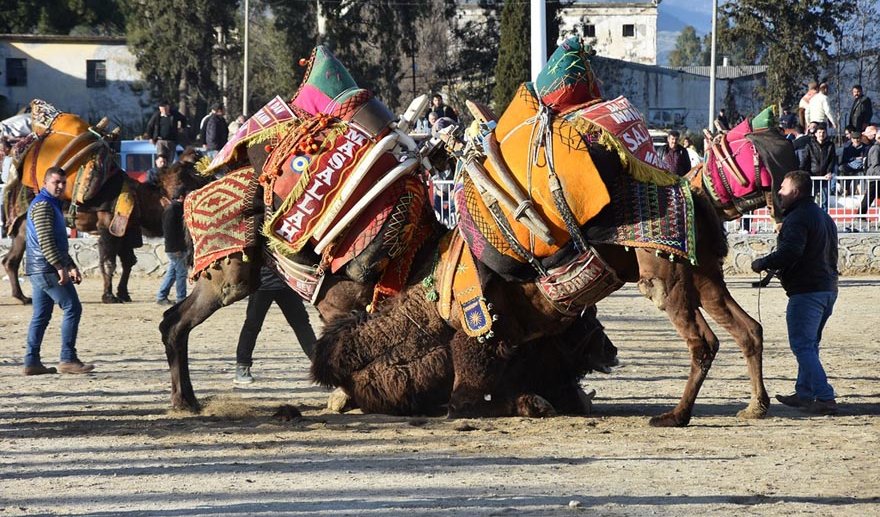 Develer Nazillispor için güreşti…