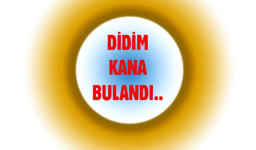 Didim’de iki kadın öldürüldü…