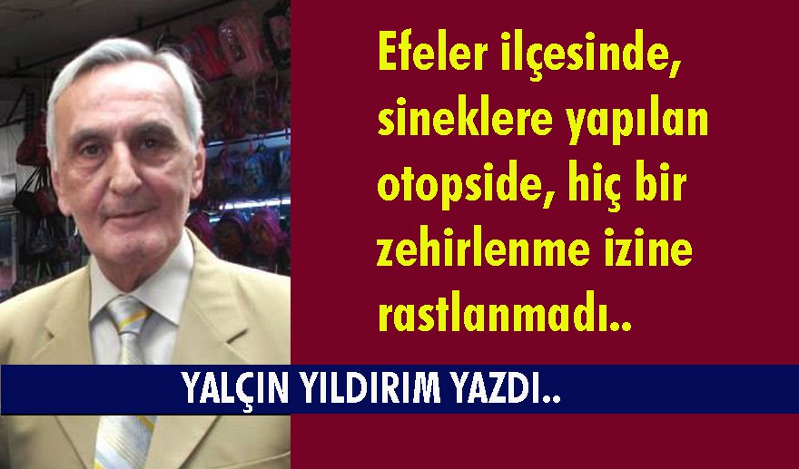 Efeler’de sinek sorunu ve kaynağı..