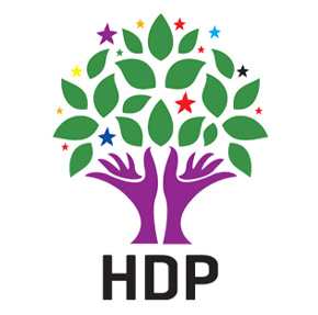 HDP OPERASYONLARI KINADI