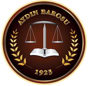 KADINA ŞİDDET KINANDI