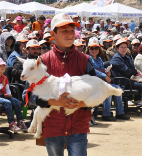 KEÇİ VE ÇOBANA İADE-İ İTİBAR...