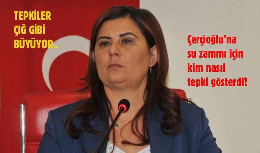  “Kim istedi lan bu zammı?