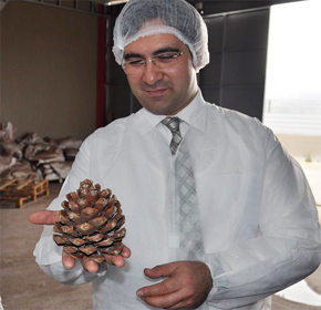 KOÇARLI’YA MODERN İŞLEME TESİSİ