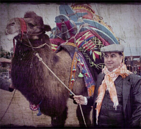 KÖŞK DEVE GÜREŞİ İPTAL EDİLDİ…