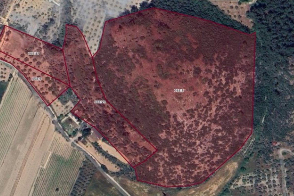 Kuşadası’nda 3. Derece Arkeolojik Sit tescili