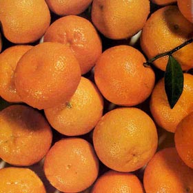 NARENCİYEDE KALİTE YÜKSEK