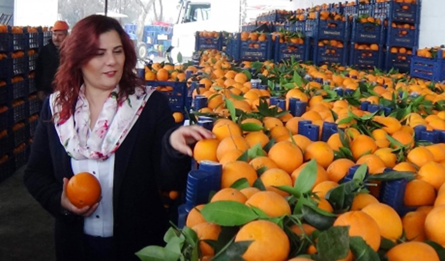 Özlem Çerçioğlu’na soruyoruz…