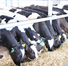 TKDK 14. ÇAĞRI DÖNEMİ SONA ERDİ