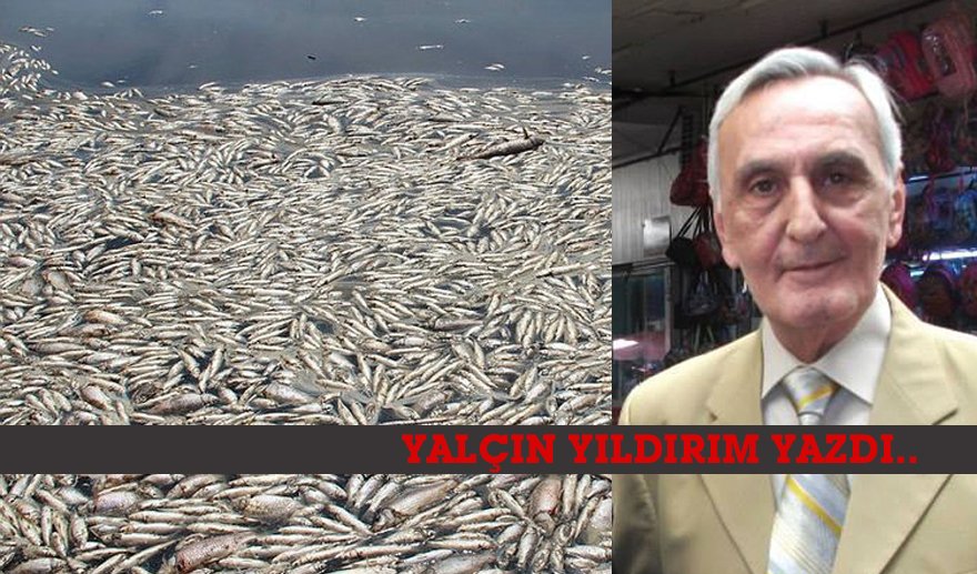 Toplu balık ölümleri üzerine…
