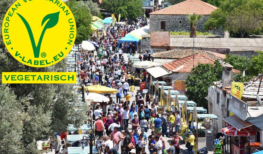 TVD, Didim Vegfest organizasyonundan çekildi…