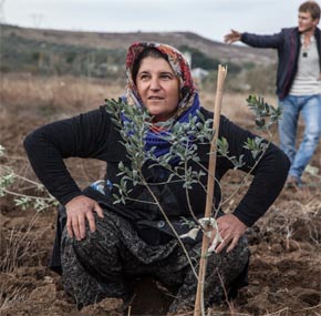 YIRCALILARIN HUKUK ZAFERİ