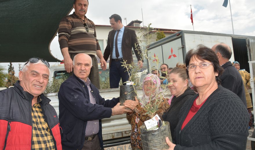 “Zeytindalı Harekatı”na zeytin fidanı ile destek…